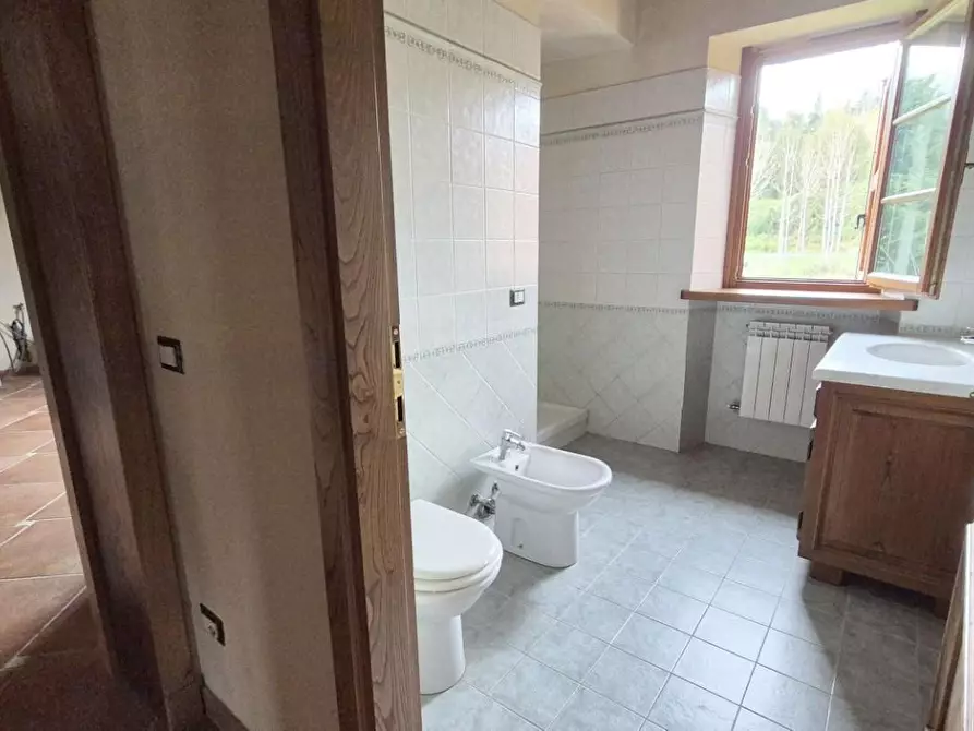 Immagine 13 di Casa colonica in vendita  a Camaiore