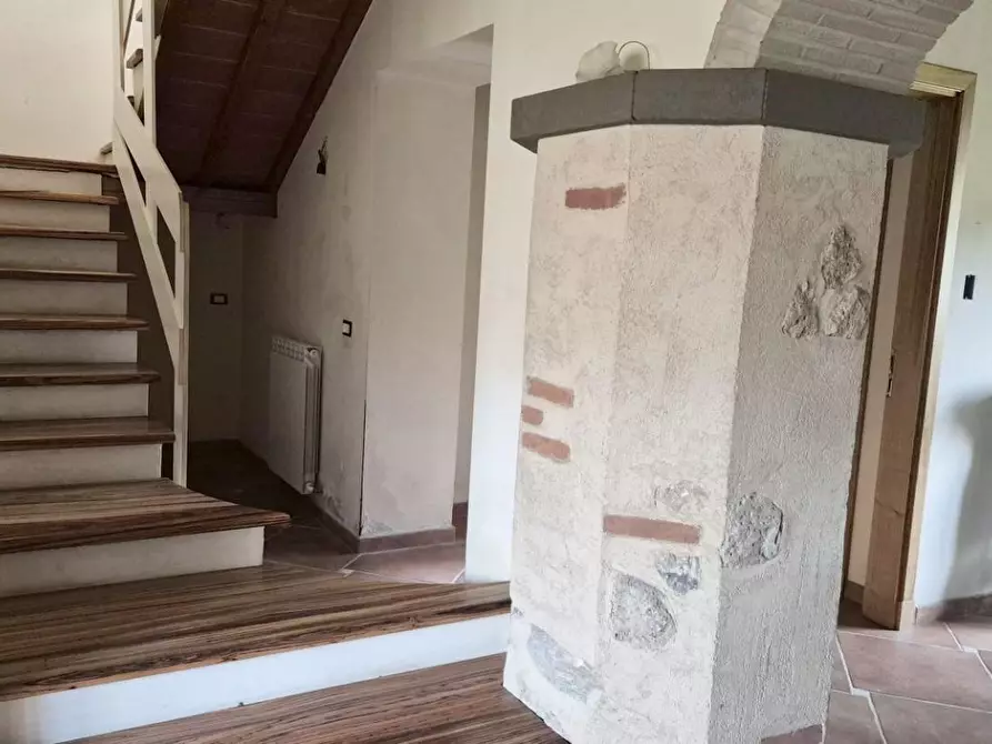 Immagine 21 di Casa colonica in vendita  a Camaiore