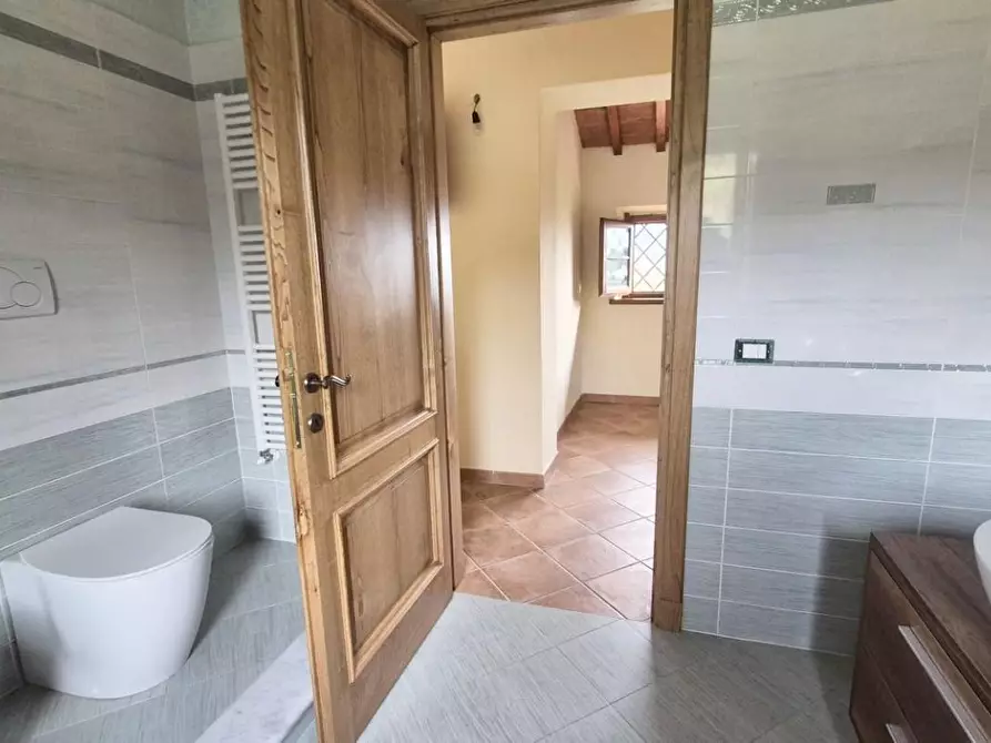 Immagine 43 di Casa colonica in vendita  a Camaiore