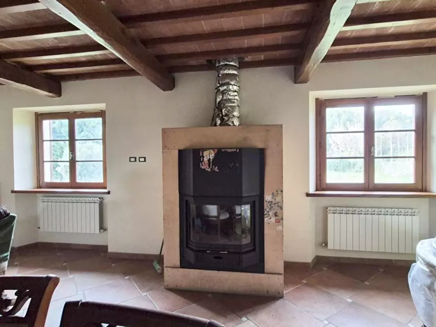 Immagine 4 di Casa colonica in vendita  a Camaiore