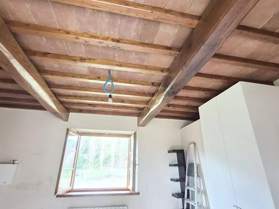 Immagine 11 di Casa colonica in vendita  a Camaiore