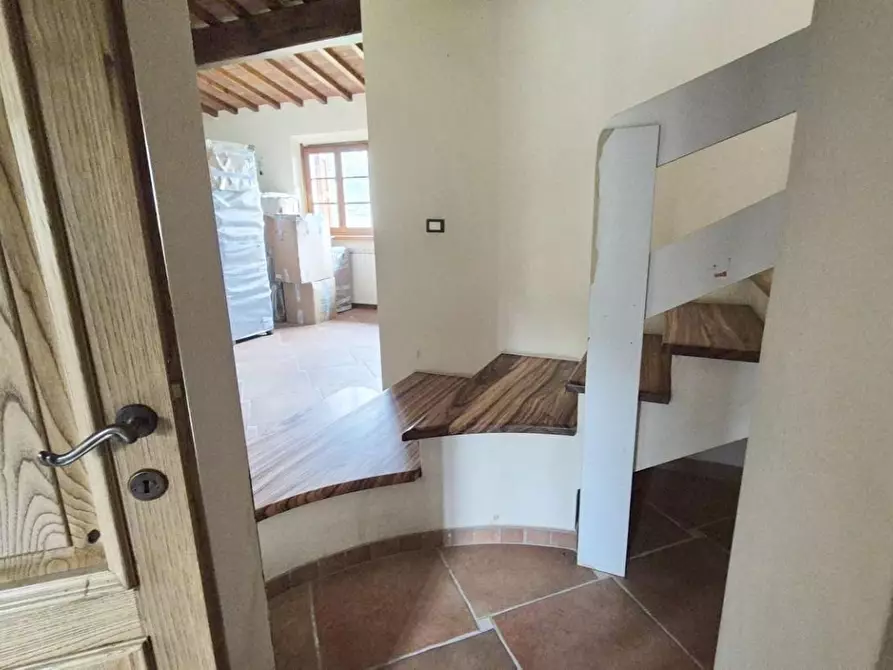 Immagine 21 di Casa colonica in vendita  a Camaiore