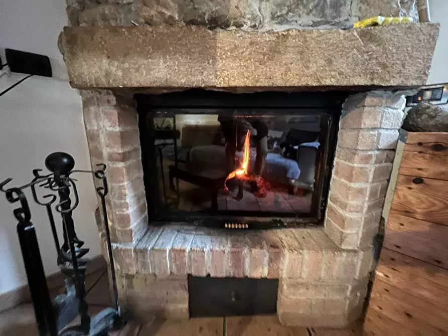 Immagine 11 di Appartamento in vendita  a Bibbona