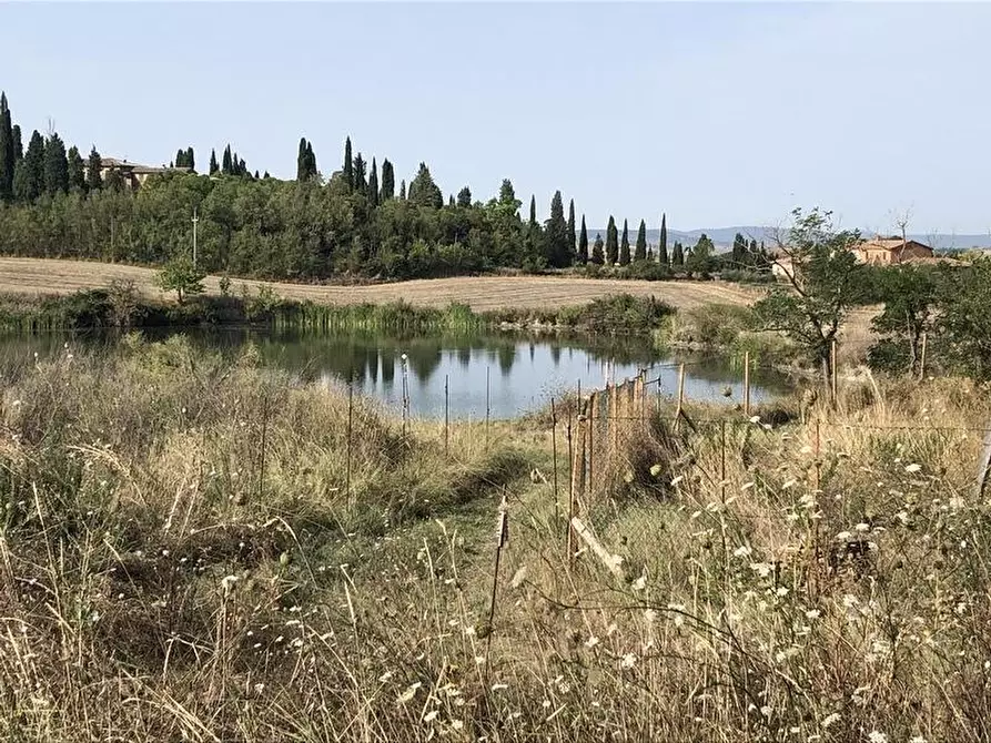 Immagine 6 di Casa colonica in vendita  a Asciano