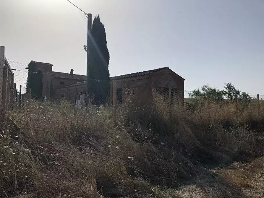 Immagine 8 di Casa colonica in vendita  a Asciano