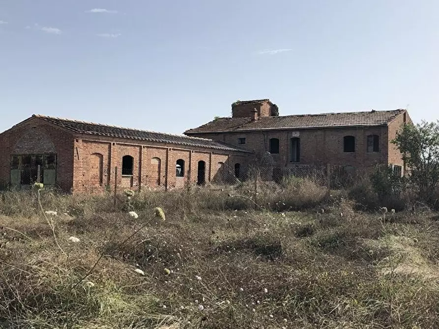 Immagine 2 di Casa colonica in vendita  a Asciano