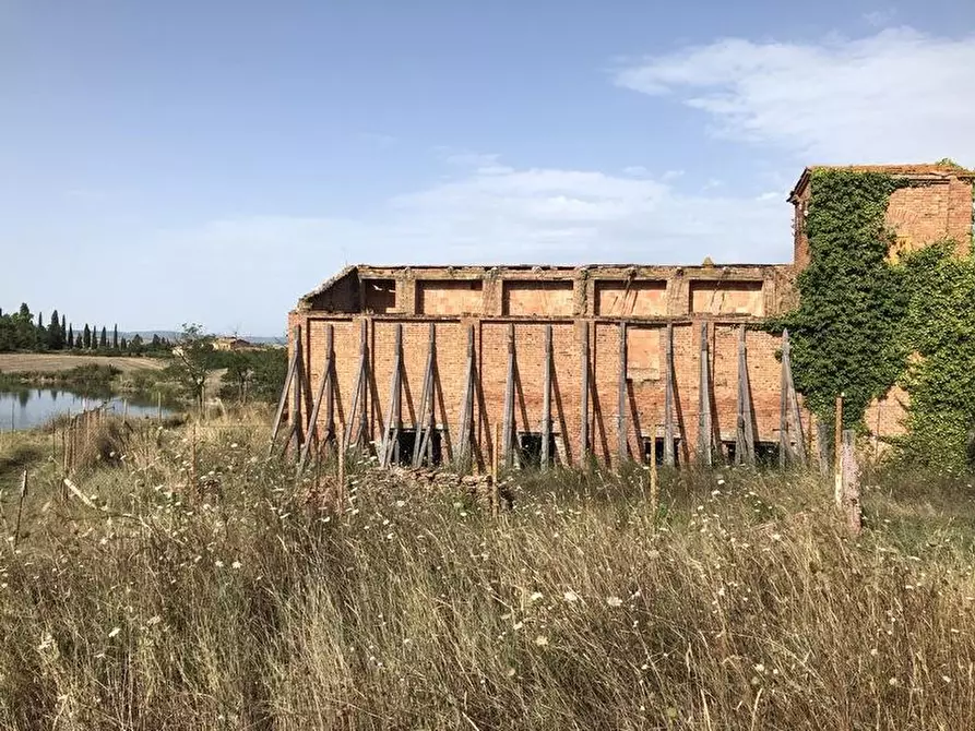 Immagine 5 di Casa colonica in vendita  a Asciano