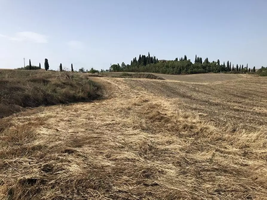 Immagine 9 di Casa colonica in vendita  a Asciano