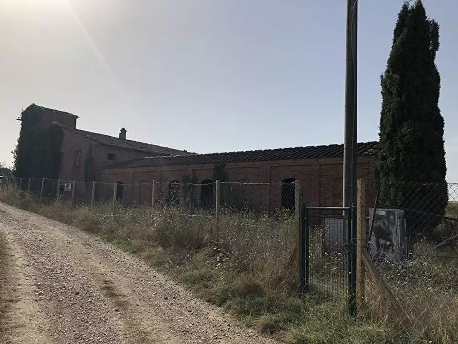 Immagine 10 di Casa colonica in vendita  a Asciano