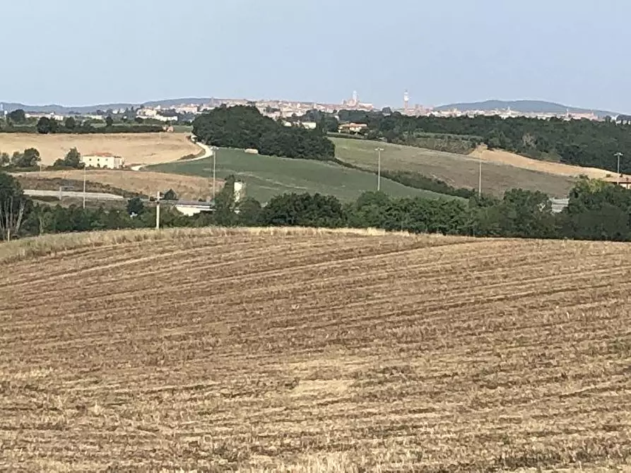 Immagine 4 di Casa colonica in vendita  a Asciano