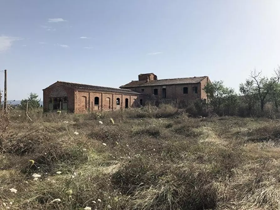 Immagine 1 di Casa colonica in vendita  a Asciano