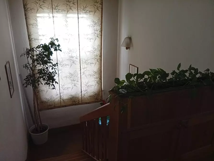 Immagine 6 di Casa indipendente in vendita  a Cascina