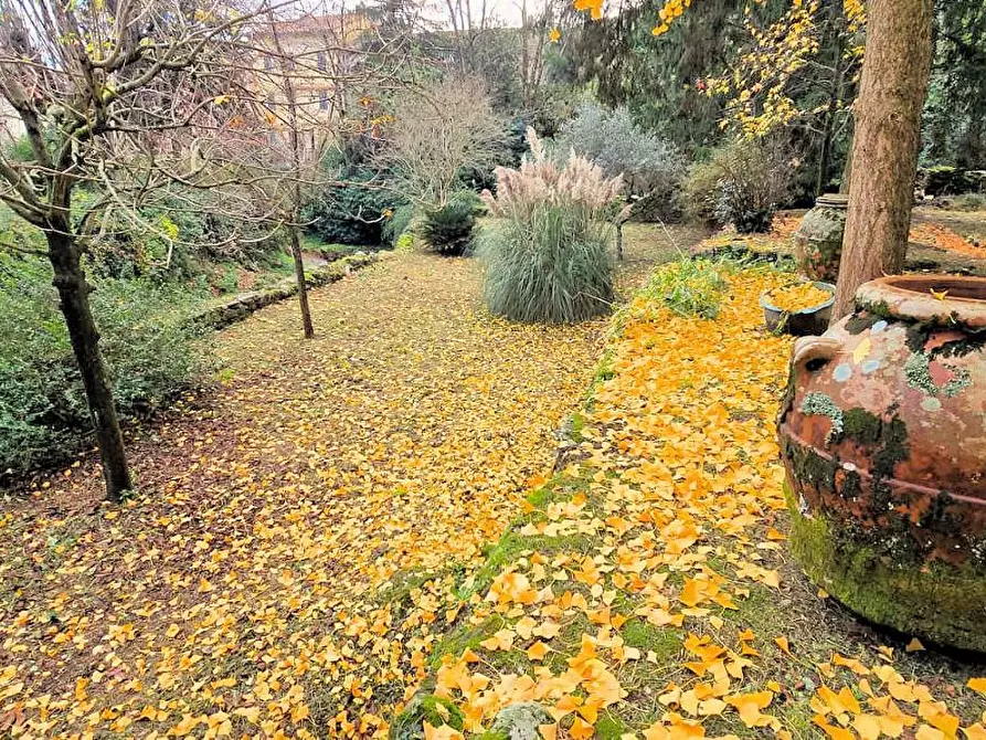 Immagine 21 di Immobile di prestigio in vendita  a Buti