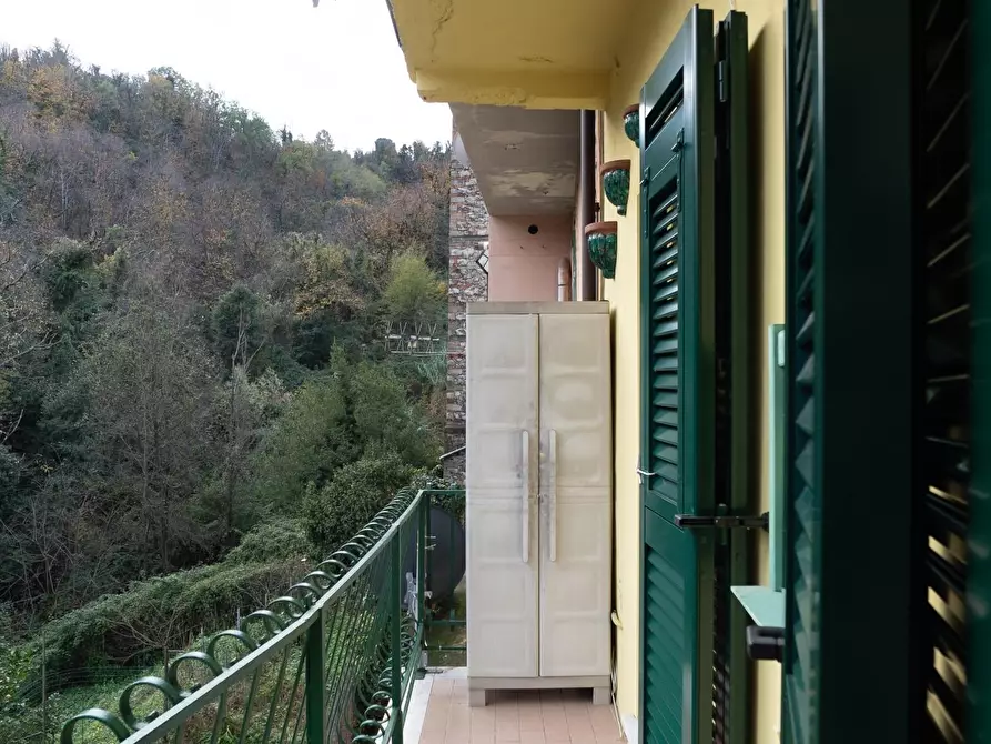 Immagine 5 di Appartamento in vendita  a Arcola