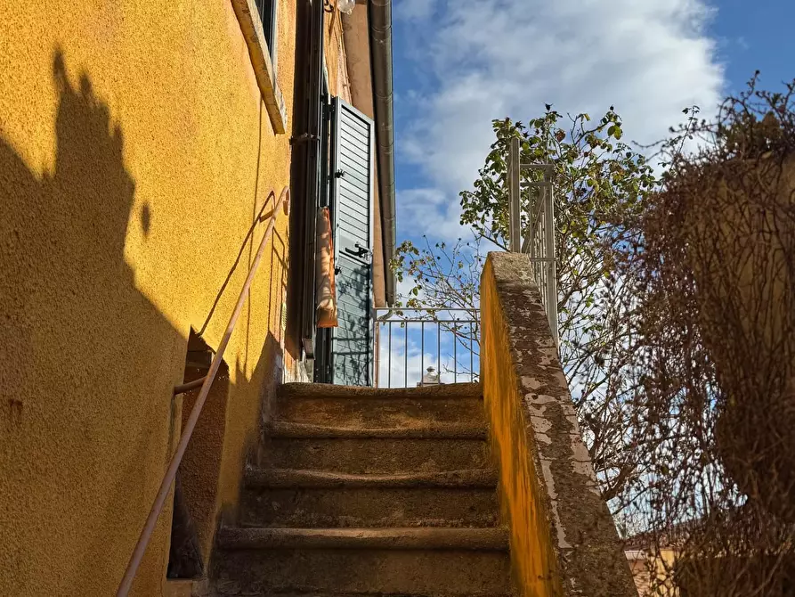 Immagine 31 di Terratetto in vendita  a Casciana Terme Lari