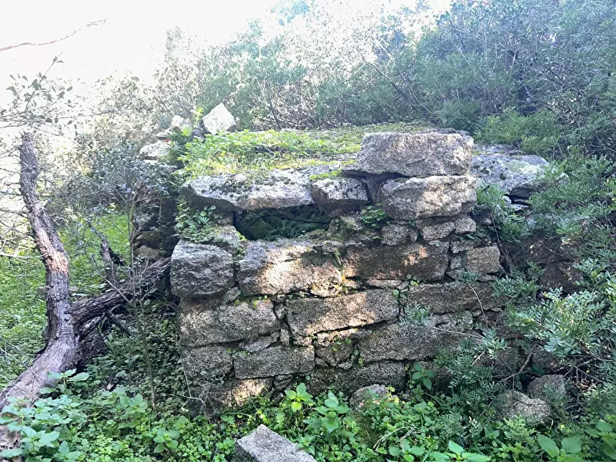 Immagine 32 di Casa colonica in vendita  a Luogosanto