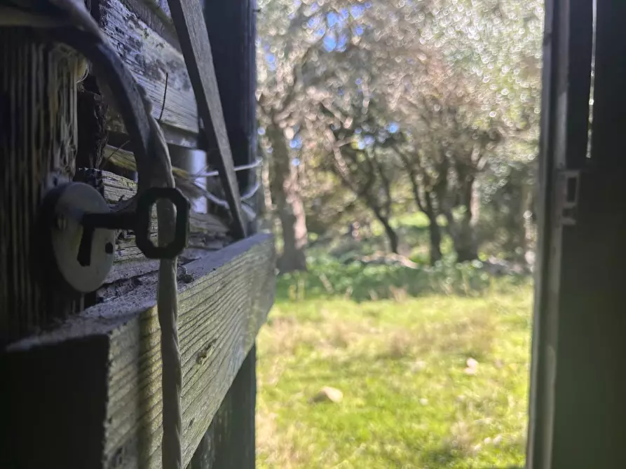 Immagine 17 di Casa colonica in vendita  a Luogosanto