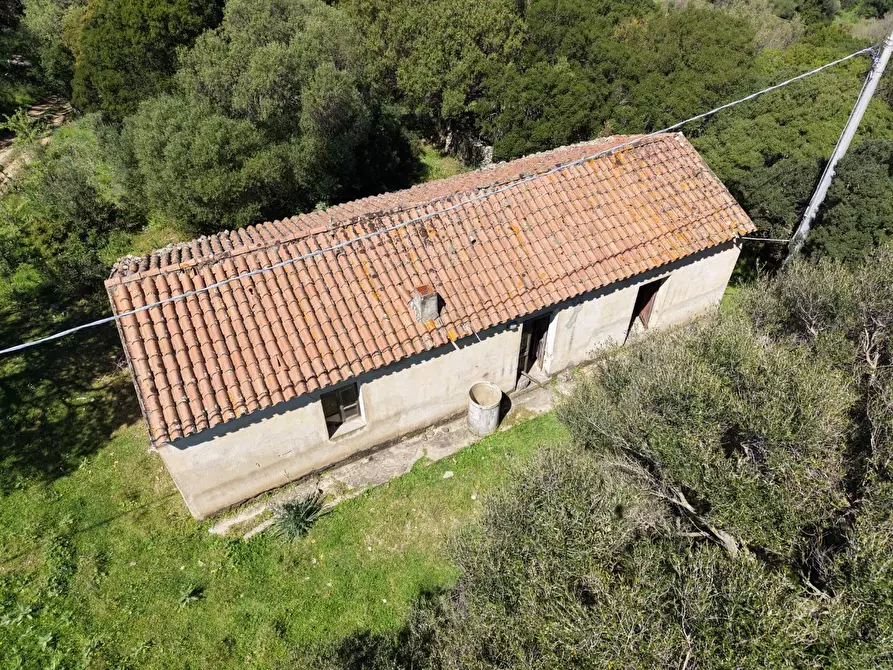 Immagine 1 di Casa colonica in vendita  a Luogosanto