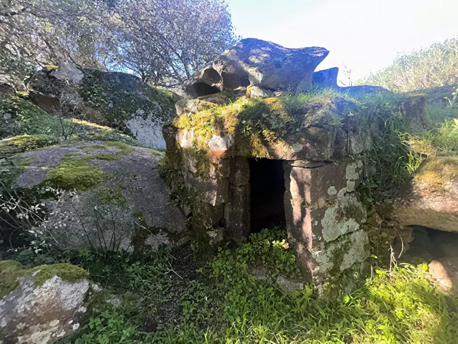 Immagine 37 di Casa colonica in vendita  a Luogosanto