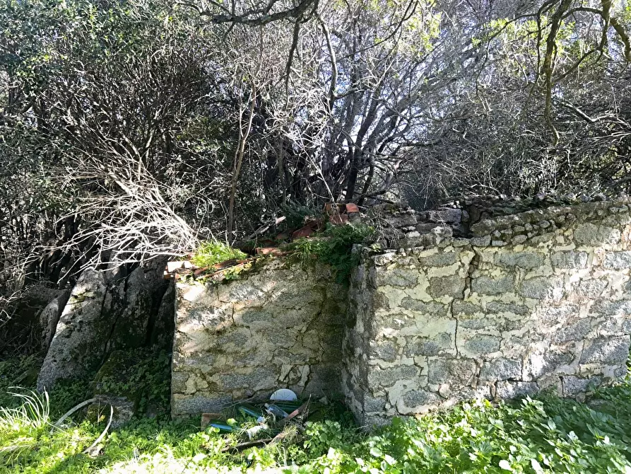 Immagine 23 di Casa colonica in vendita  a Luogosanto