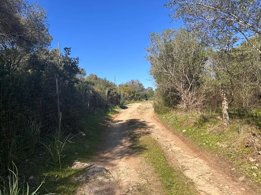 Immagine 10 di Casa colonica in vendita  a Luogosanto