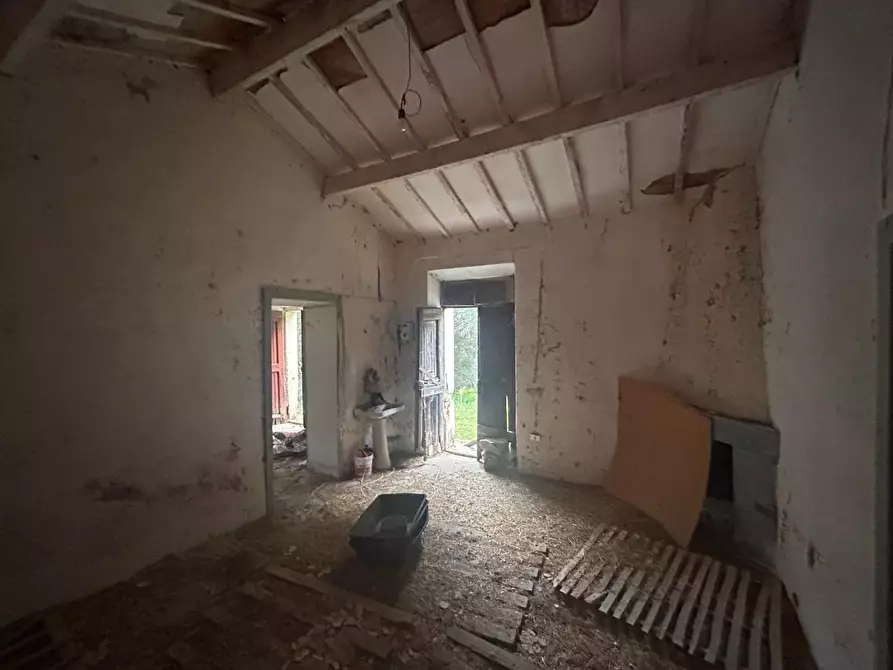 Immagine 33 di Casa colonica in vendita  a Luogosanto