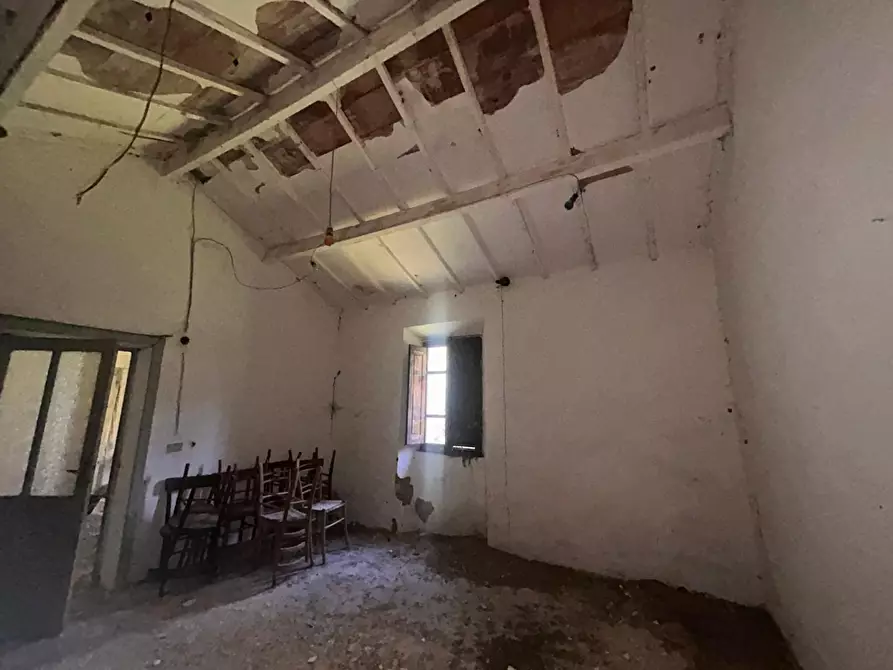 Immagine 28 di Casa colonica in vendita  a Luogosanto