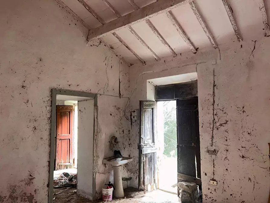 Immagine 30 di Casa colonica in vendita  a Luogosanto