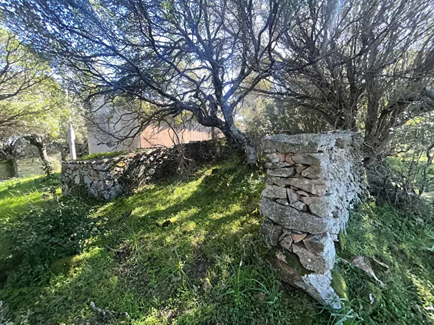 Immagine 20 di Casa colonica in vendita  a Luogosanto