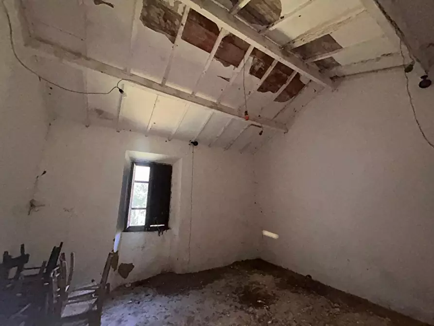 Immagine 29 di Casa colonica in vendita  a Luogosanto