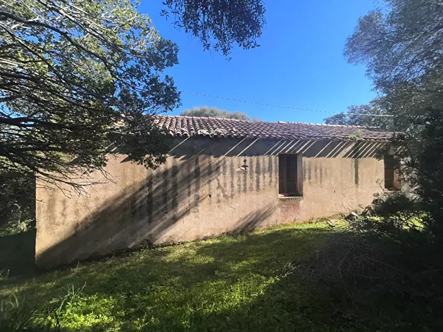 Immagine 15 di Casa colonica in vendita  a Luogosanto