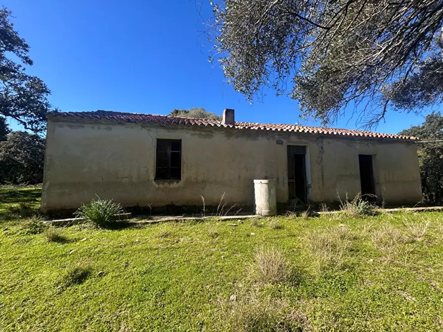 Immagine 13 di Casa colonica in vendita  a Luogosanto