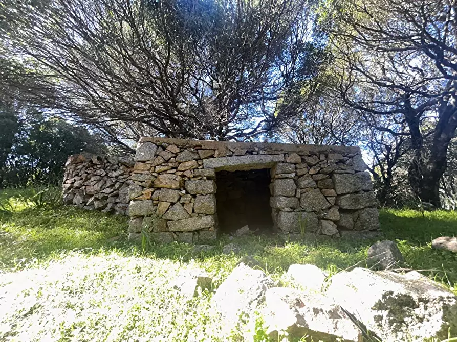 Immagine 18 di Casa colonica in vendita  a Luogosanto