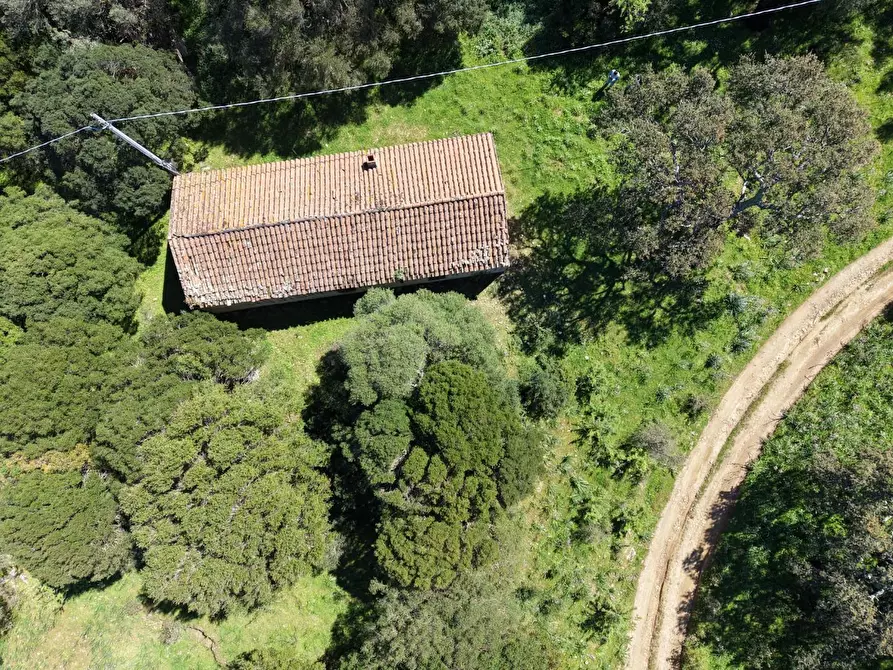 Immagine 2 di Casa colonica in vendita  a Luogosanto