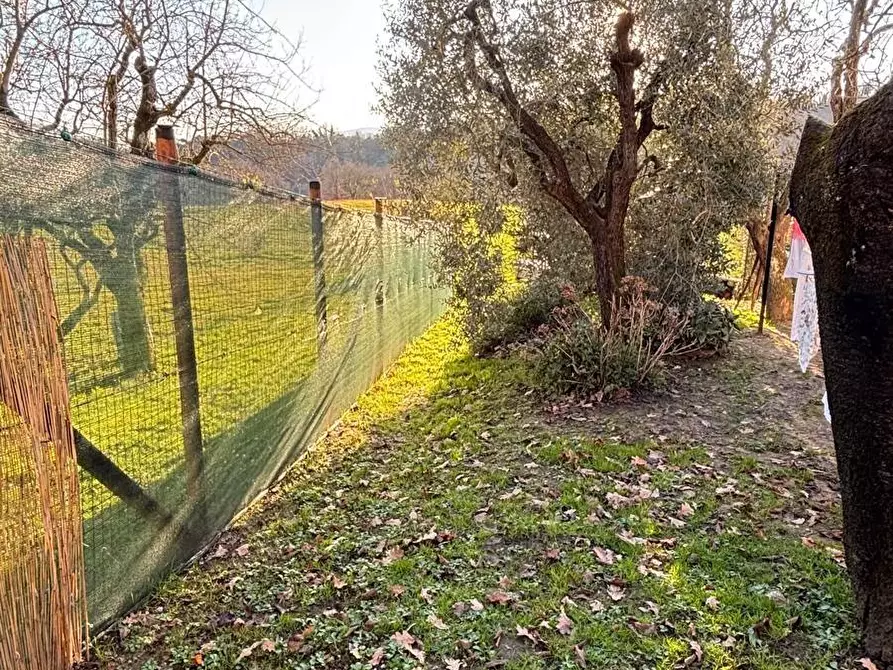 Immagine 12 di Casa indipendente in vendita  a Capannori