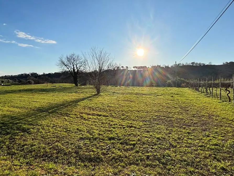 Immagine 5 di Casa indipendente in vendita  a Capannori