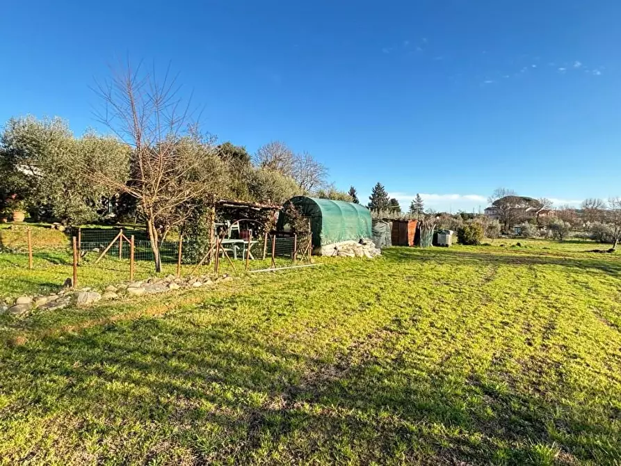 Immagine 3 di Casa indipendente in vendita  a Capannori