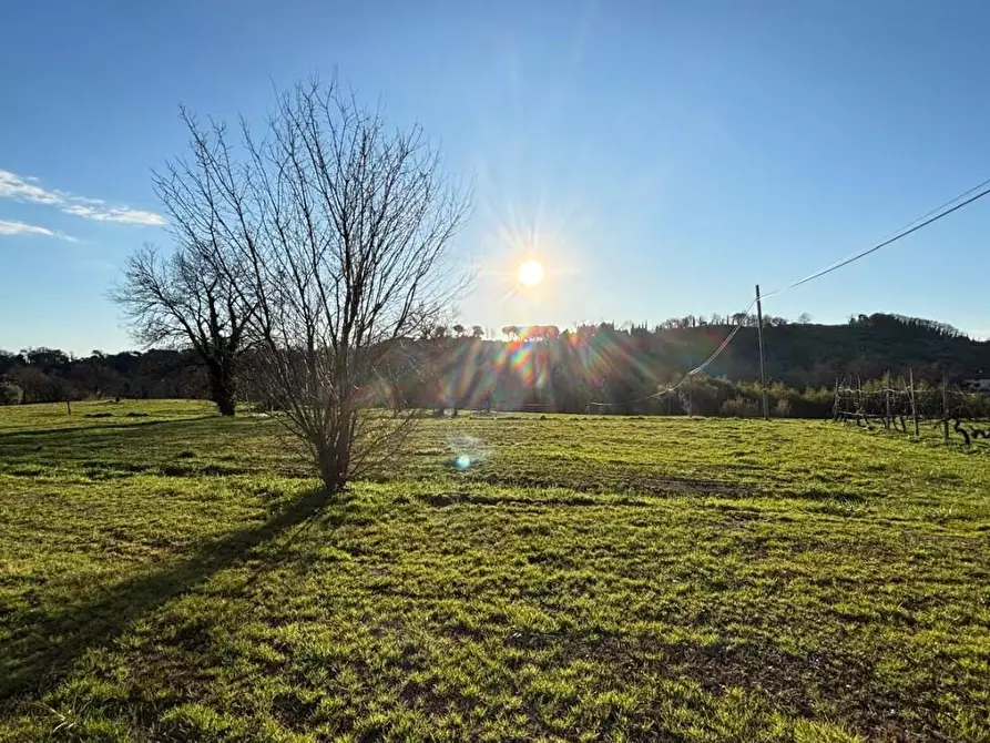 Immagine 6 di Casa indipendente in vendita  a Capannori
