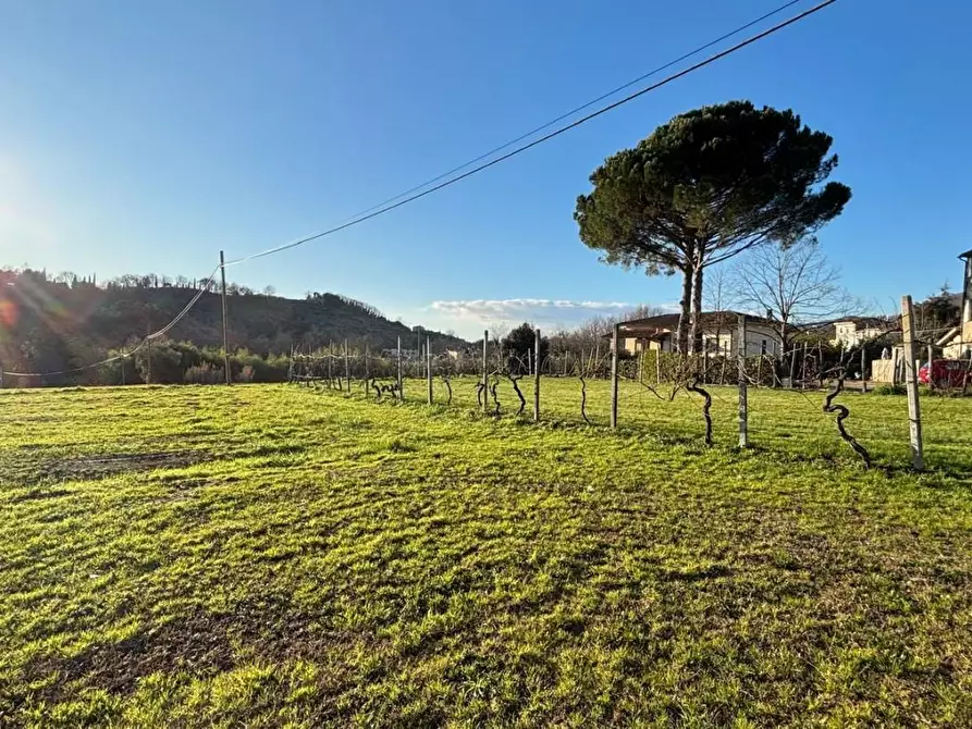 Immagine 7 di Casa indipendente in vendita  a Capannori