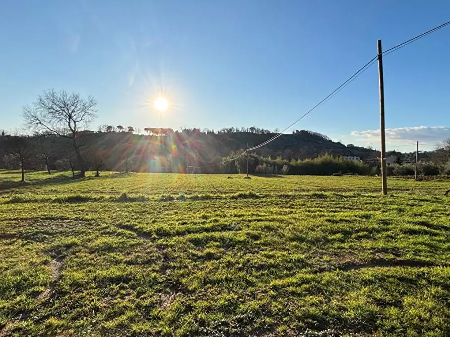 Immagine 8 di Casa indipendente in vendita  a Capannori