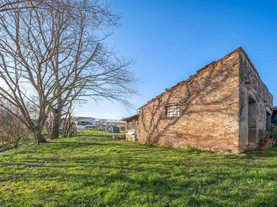 Immagine 35 di Terratetto in vendita  a Santa Maria A Monte