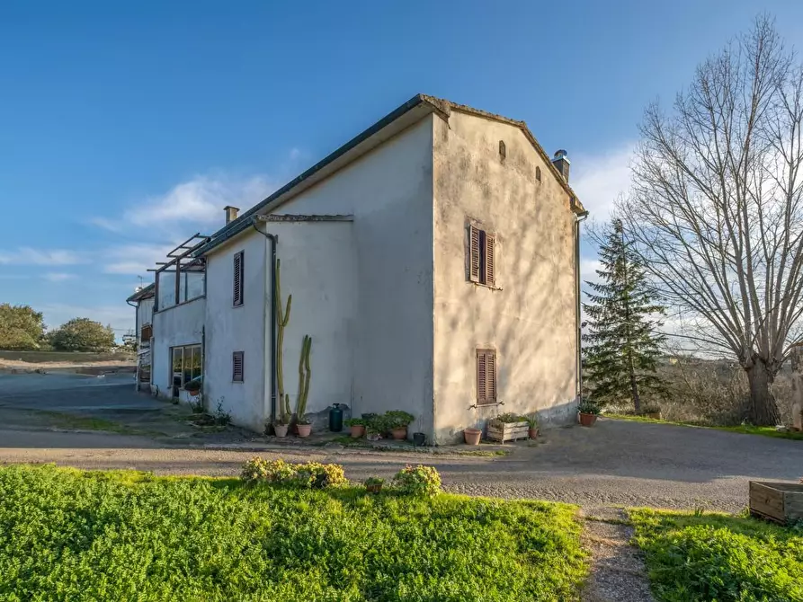 Immagine 2 di Terratetto in vendita  a Santa Maria A Monte