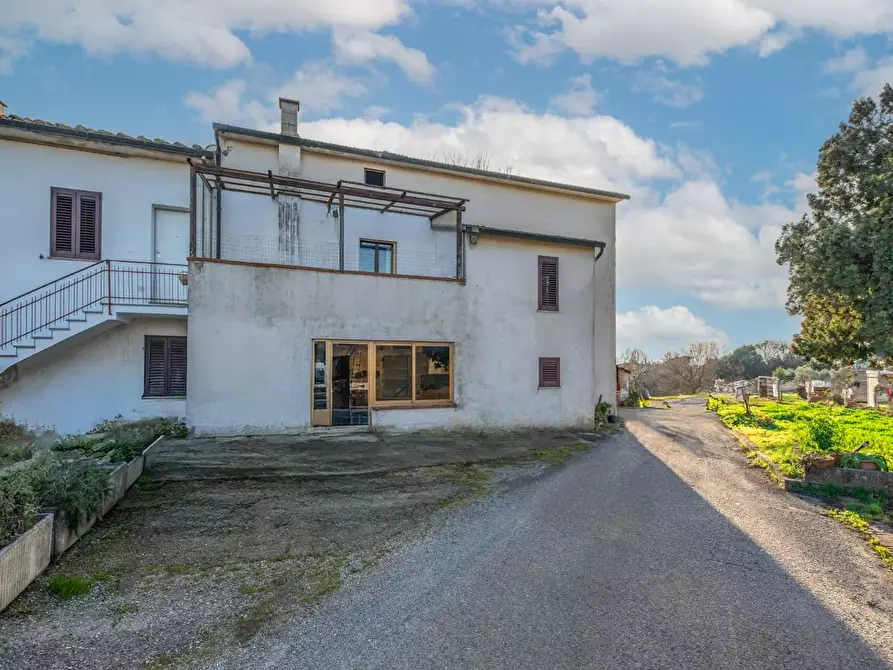 Immagine 40 di Terratetto in vendita  a Santa Maria A Monte