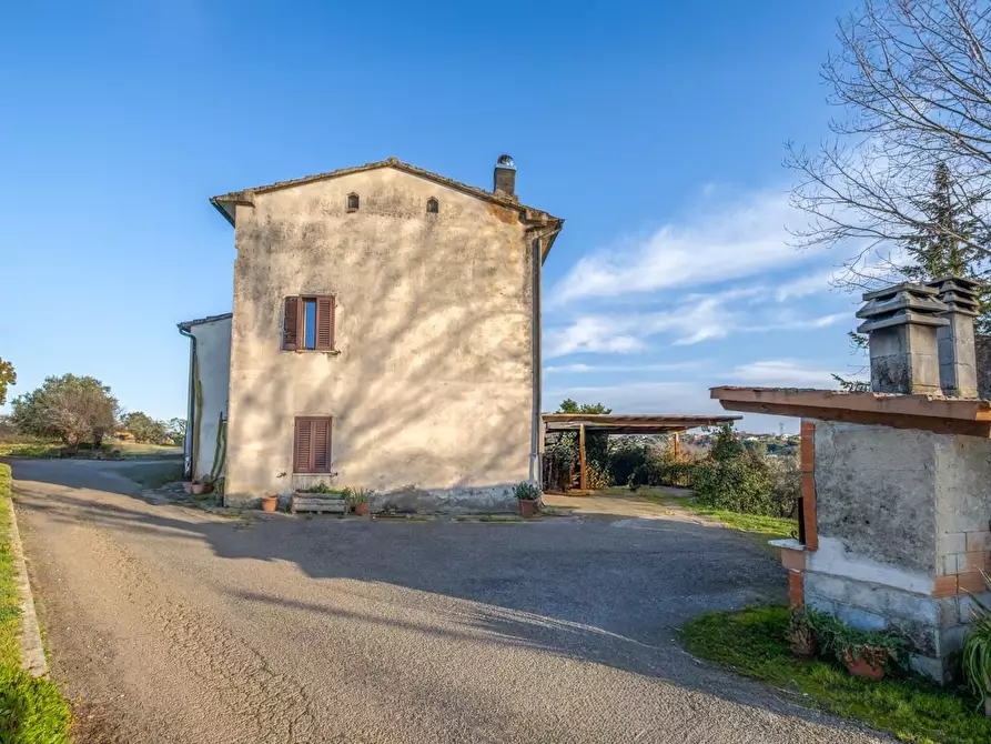 Immagine 33 di Terratetto in vendita  a Santa Maria A Monte