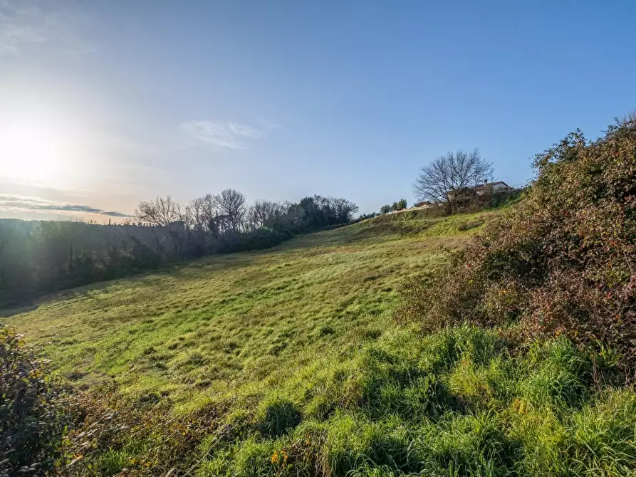 Immagine 37 di Terratetto in vendita  a Santa Maria A Monte
