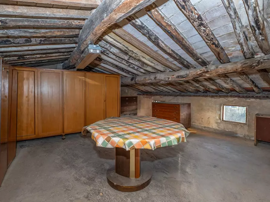 Immagine 31 di Terratetto in vendita  a Santa Maria A Monte