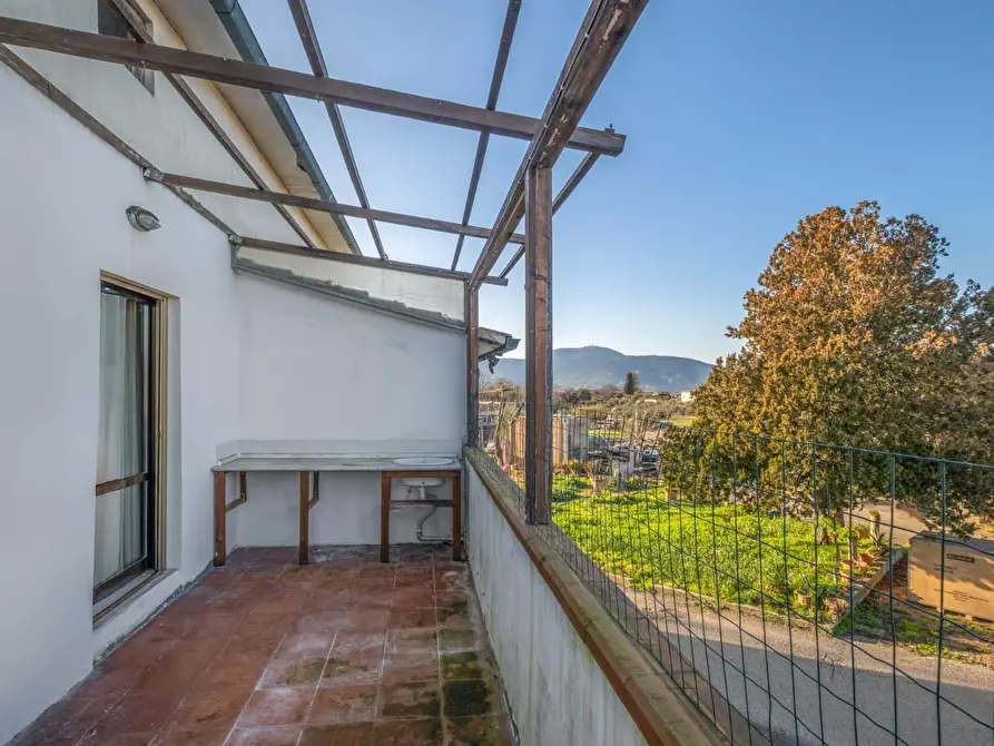 Immagine 29 di Terratetto in vendita  a Santa Maria A Monte