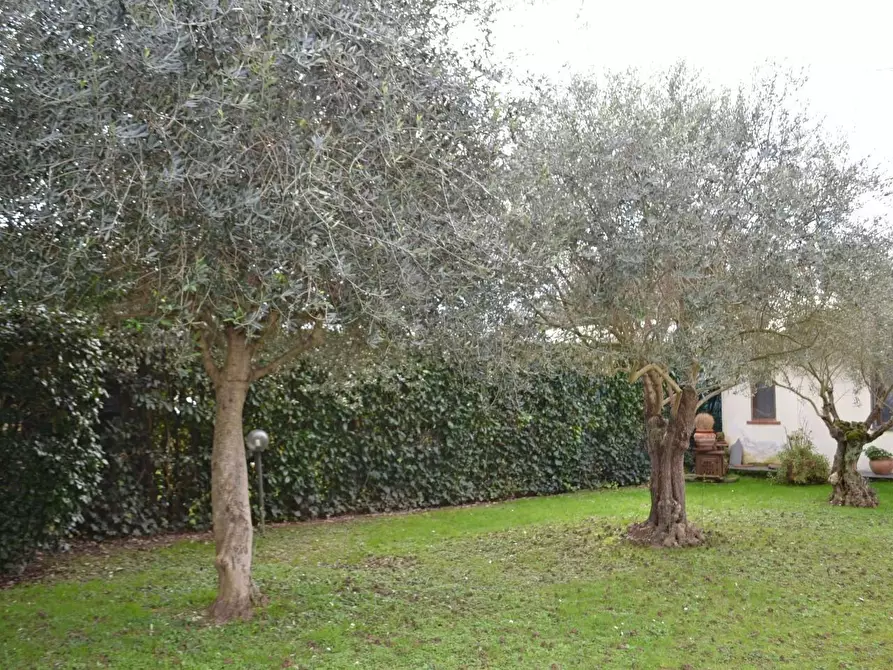 Immagine 16 di Villa in vendita  a Montignoso