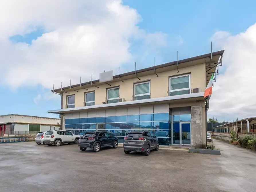 Immagine 10 di Attività artigianale in vendita  a Bientina