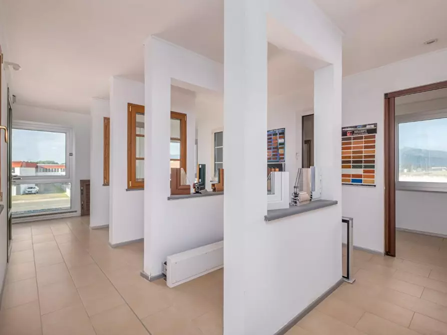 Immagine 17 di Attività artigianale in vendita  a Bientina